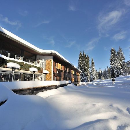 Saanewald Lodge 자넨모저 외부 사진