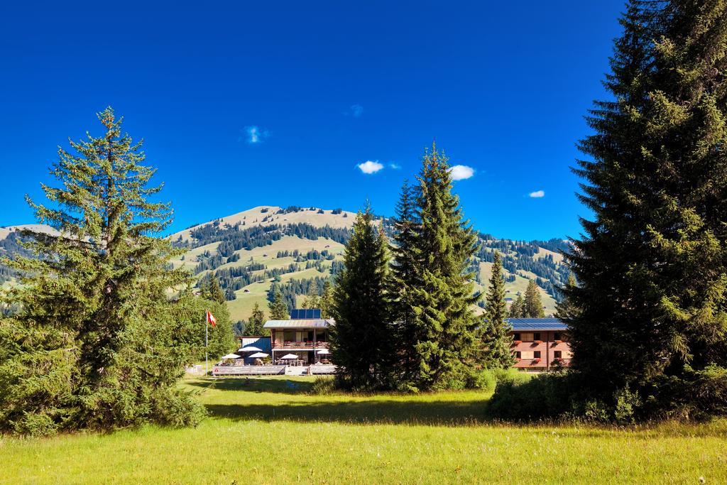 Saanewald Lodge 자넨모저 외부 사진